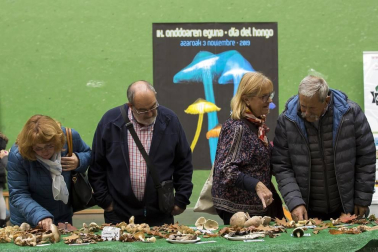 Día del Hongo en Larraintzar