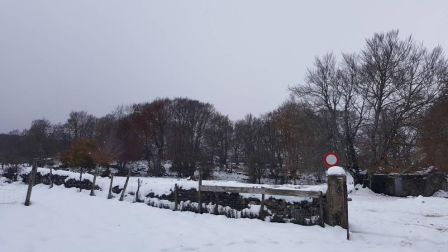 La zona de Larra-Belagua, en Roncal, ha amanecido este jueves con un espesor de nieve de unos 10 cm después de la nevada de esta noche. La cota de nieve, que se encuentra sobre los 1200-1400 metros, bajará hasta los 900-1000 metros en las próximas horas.