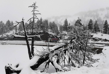 La zona de Larra-Belagua, en Roncal, ha amanecido este jueves con un espesor de nieve de unos 10 cm después de la nevada de esta noche. La cota de nieve, que se encuentra sobre los 1200-1400 metros, bajará hasta los 900-1000 metros en las próximas horas.