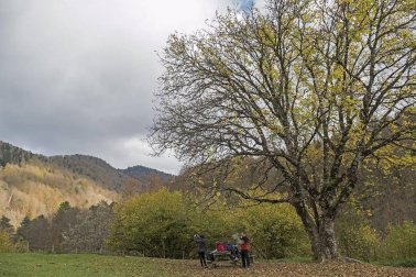 Irati se convierte en otoño en la primera opción de muchos excursionistas