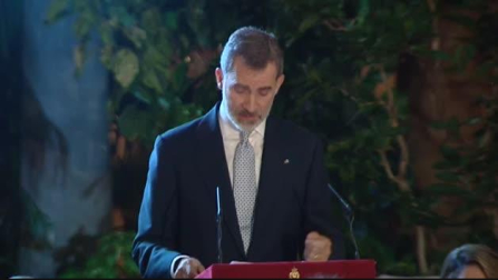 El rey defiende los derechos humanos en Cuba