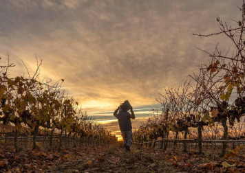 Jesús Goldáraz Iracheta ha ganado el Concurso fotográfico Conocer Navarra 2019