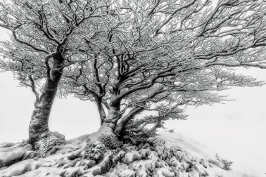 Jesús Goldáraz Iracheta ha ganado el Concurso fotográfico Conocer Navarra 2019