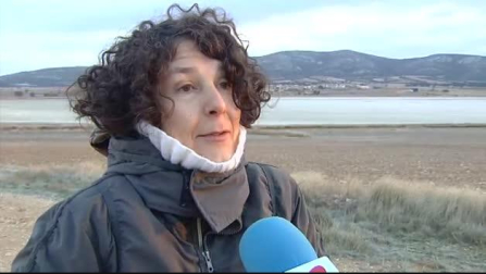 Las grullas de Gallocanta dan la bienvenida al frío