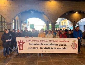 Galería de fotos de las concentraciones vividas este lunes, 25 de noviembre, en torno a la conmemoración del Día Internacional contra la violencia hacia las mujeres.