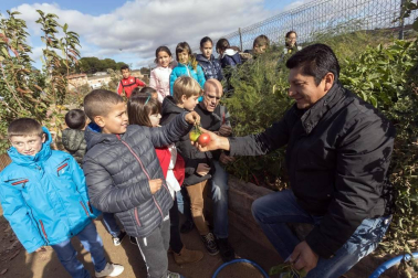 Alumnado del CP Juan de Palafox de Fitero durante una jornada lectiva.