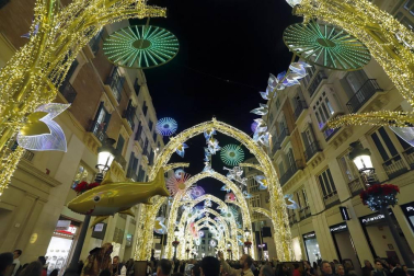 Málaga capital ya luce su alumbrado navideño y los espectáculos que sumergen a malagueños y visitantes en el ambiente de estas fechas. El actor Antonio Banderas ha sido el encargado de encender este viernes esta decoración, asegurando que todo es "es muy impresionante, verdaderamente impresionante".