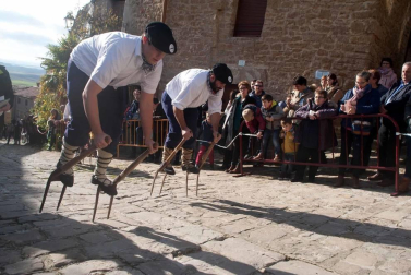 Todas las fotos de la carrera de layas en Artajona