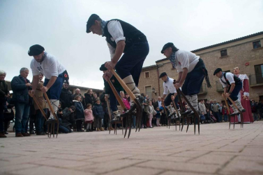 Todas las fotos de la carrera de layas en Artajona