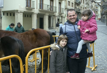 El pasado fin de semana se celebró en Estella la feria en honor a San Andrés. En la plaza de Santiago tuvo lugar la tradicional exhibición de ganado y en la vecina plaza de los Fueros, se expuso una muestra de artesanía de la comarca. Además, a lo largo de toda la jornada se desarrollaron diversas exhibiciones y concursos. Tampoco faltaron las degustaciones, entre las que destacó una exquisita ternera que se asó en la plaza de San Martín.