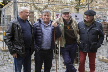 El pasado fin de semana se celebró en Estella la feria en honor a San Andrés. En la plaza de Santiago tuvo lugar la tradicional exhibición de ganado y en la vecina plaza de los Fueros, se expuso una muestra de artesanía de la comarca. Además, a lo largo de toda la jornada se desarrollaron diversas exhibiciones y concursos. Tampoco faltaron las degustaciones, entre las que destacó una exquisita ternera que se asó en la plaza de San Martín.