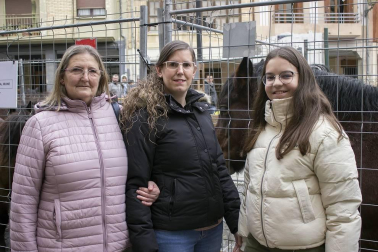 El pasado fin de semana se celebró en Estella la feria en honor a San Andrés. En la plaza de Santiago tuvo lugar la tradicional exhibición de ganado y en la vecina plaza de los Fueros, se expuso una muestra de artesanía de la comarca. Además, a lo largo de toda la jornada se desarrollaron diversas exhibiciones y concursos. Tampoco faltaron las degustaciones, entre las que destacó una exquisita ternera que se asó en la plaza de San Martín.