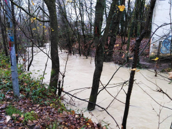 Fotos enviadas por los lectores de Diario de Navarra de las inundaciones de este viernes en Navarra.