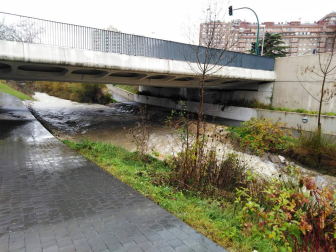 Fotos enviadas por los lectores de Diario de Navarra de las inundaciones de este viernes en Navarra.
