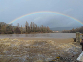 Fotos enviadas por los lectores de Diario de Navarra de las inundaciones de este viernes en Navarra.