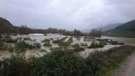Fotos enviadas por los lectores de Diario de Navarra de las inundaciones de este viernes en Navarra.