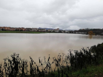 Fotos enviadas por los lectores de Diario de Navarra de las inundaciones de este viernes en Navarra.