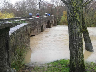 Fotos enviadas por los lectores de Diario de Navarra de las inundaciones de este viernes en Navarra.