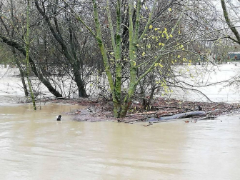 Fotos enviadas por los lectores de Diario de Navarra de las inundaciones de este viernes en Navarra.
