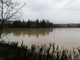 Fotos enviadas por los lectores de Diario de Navarra de las inundaciones de este viernes en Navarra.