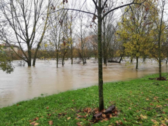 Fotos enviadas por los lectores de Diario de Navarra de las inundaciones de este viernes en Navarra.
