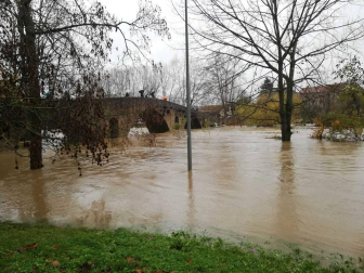 Fotos enviadas por los lectores de Diario de Navarra de las inundaciones de este viernes en Navarra.