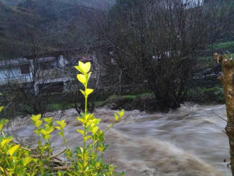 Fotos enviadas por los lectores de Diario de Navarra de las inundaciones de este viernes en Navarra.