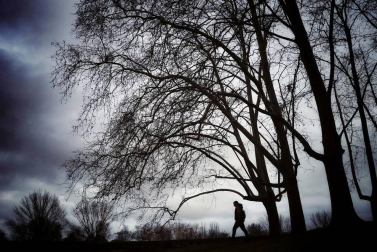 En la entrega de premios se han hecho públicos los 10 ganadores cuyas imágenes ilustran los meses del calendario municipal 2020