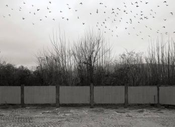 En la entrega de premios se han hecho públicos los 10 ganadores cuyas imágenes ilustran los meses del calendario municipal 2020