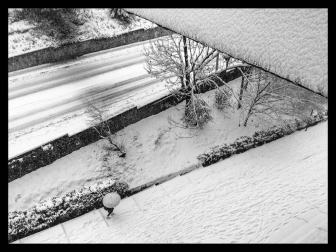 En la entrega de premios se han hecho públicos los 10 ganadores cuyas imágenes ilustran los meses del calendario municipal 2020