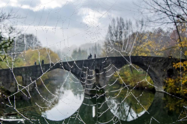 En la entrega de premios se han hecho públicos los 10 ganadores cuyas imágenes ilustran los meses del calendario municipal 2020