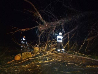 Fotos de las incidencias del viento por la borrasca Elsa en Navarra