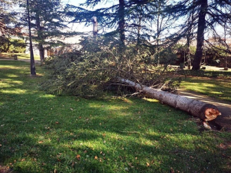 Ascienden a cinco las víctimas mortales de las borrascas Elsa y Fabien