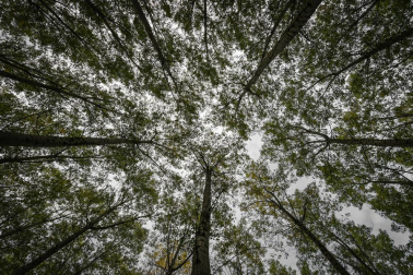 Las tres fotografías ganadoras del II Concurso de fotografías Navarra, Tierra de Cine