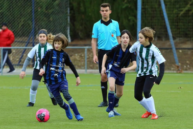 Fotos de partidos disputados el 26 de diciembre en la 38 edición del Torneo Interescolar Fundación Osasuna