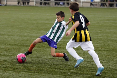 Fotos de partidos disputados el 26 de diciembre en la 38 edición del Torneo Interescolar Fundación Osasuna