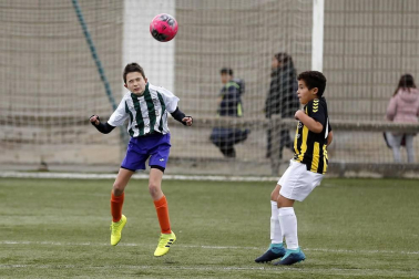 Fotos de partidos disputados el 26 de diciembre en la 38 edición del Torneo Interescolar Fundación Osasuna