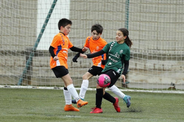 Fotos de partidos disputados el 26 de diciembre en la 38 edición del Torneo Interescolar Fundación Osasuna