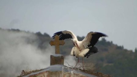 Fotos del invierno enviadas por los lectores de diariodenavarra.es