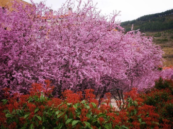 Fotos del invierno enviadas por los lectores de diariodenavarra.es