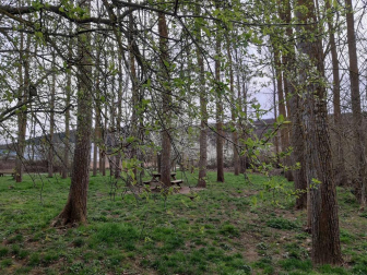 Fotos del invierno enviadas por los lectores de diariodenavarra.es