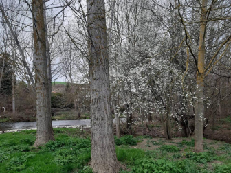 Fotos del invierno enviadas por los lectores de diariodenavarra.es