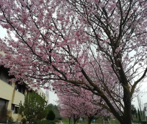 Fotos del invierno enviadas por los lectores de diariodenavarra.es