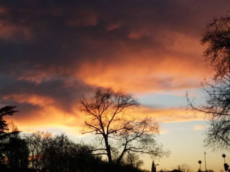 Fotos del invierno enviadas por los lectores de diariodenavarra.es