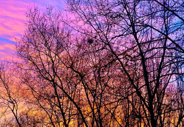 Fotos del invierno enviadas por los lectores de diariodenavarra.es