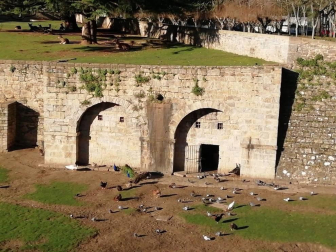 Fotos del invierno enviadas por los lectores de diariodenavarra.es