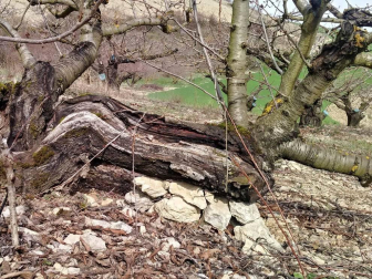 Fotos del invierno enviadas por los lectores de diariodenavarra.es
