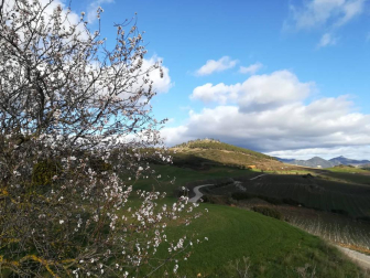 Fotos del invierno enviadas por los lectores de diariodenavarra.es