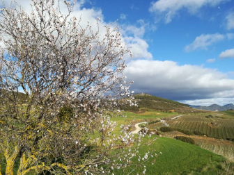 Fotos del invierno enviadas por los lectores de diariodenavarra.es