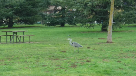 Fotos del invierno enviadas por los lectores de diariodenavarra.es
